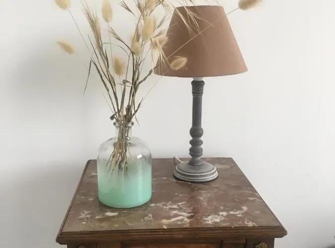 Bernache, Maison Bord De Dom wakacyjny *